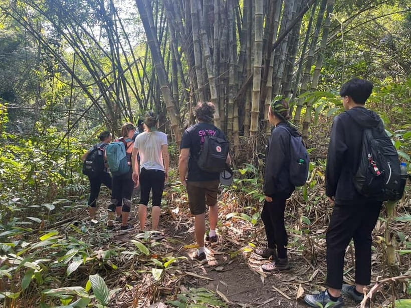Authentic trek only walk in Chiang Rai jungle - Lisu and Chinese villages: a cultural start