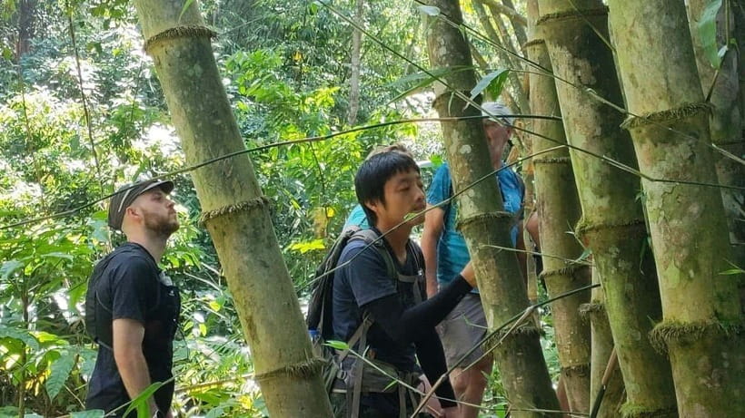 Authentic trek only walk in Chiang Rai jungle - Tea plantations and the first long walking stretch
