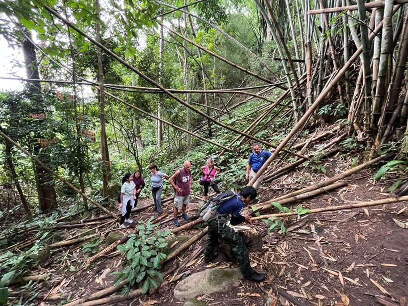 Authentic trek only walk in Chiang Rai jungle - Akha and Lahu villages on the return route