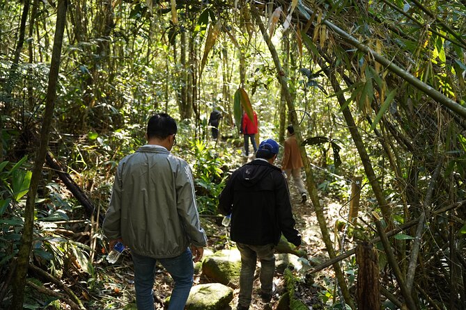 Bach Ma National Park trekking daily tour from Da Nang, Hoi An - The walk to Do Quyen Waterfall