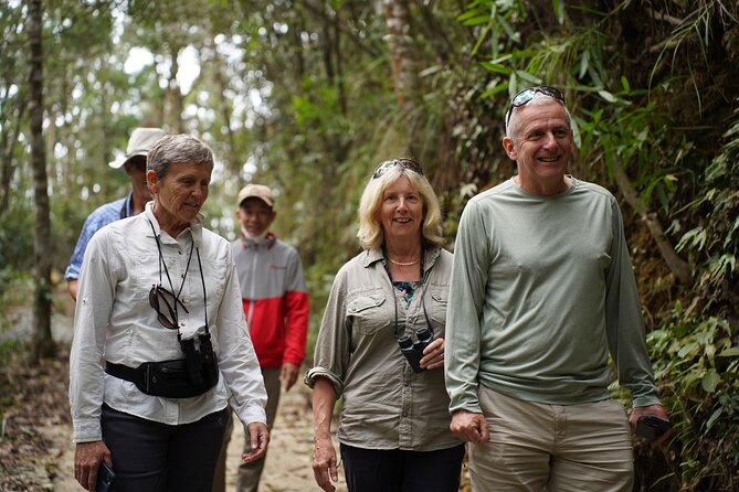 Bach Ma National Park trekking daily tour from Da Nang, Hoi An - What the physical effort is really like