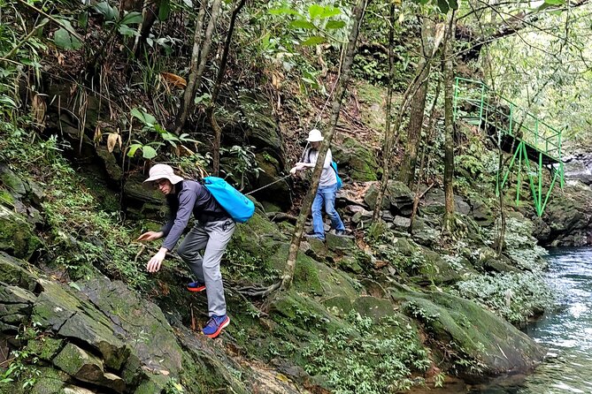 Bach Ma National Park trekking daily tour from Da Nang, Hoi An - Guides, group size, and the feel of the day