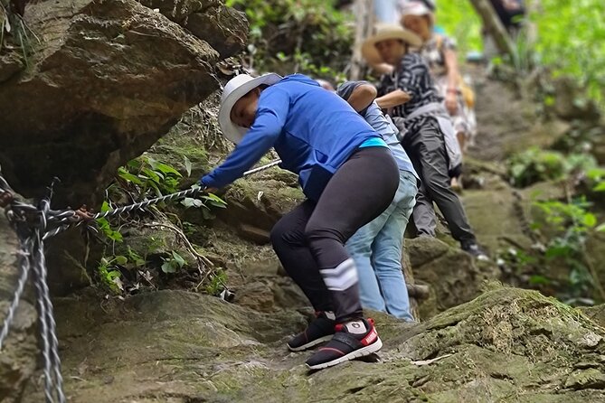 Bach Ma National Park trekking deluxe daily tour from Hue - The exhibition house sets the scene