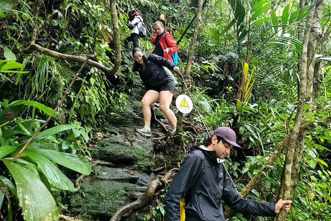Bach Ma National Park trekking deluxe daily tour from Hue - Picnic lunch arrives at the right moment