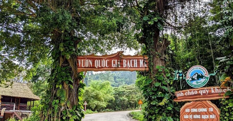 Bach Ma National Park Trekking Tour From Hue/Da Nang/Hoi An - Key points to know before booking
