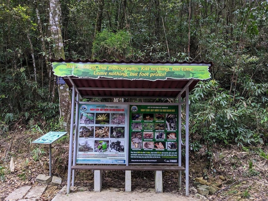 Bach Ma National Park Trekking Tour From Hue/Da Nang/Hoi An - Return times and the shape of the day