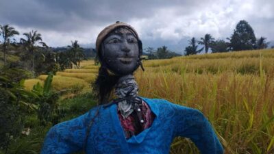 Jatiluwih Full-Day E-Bike and Trekking Tour