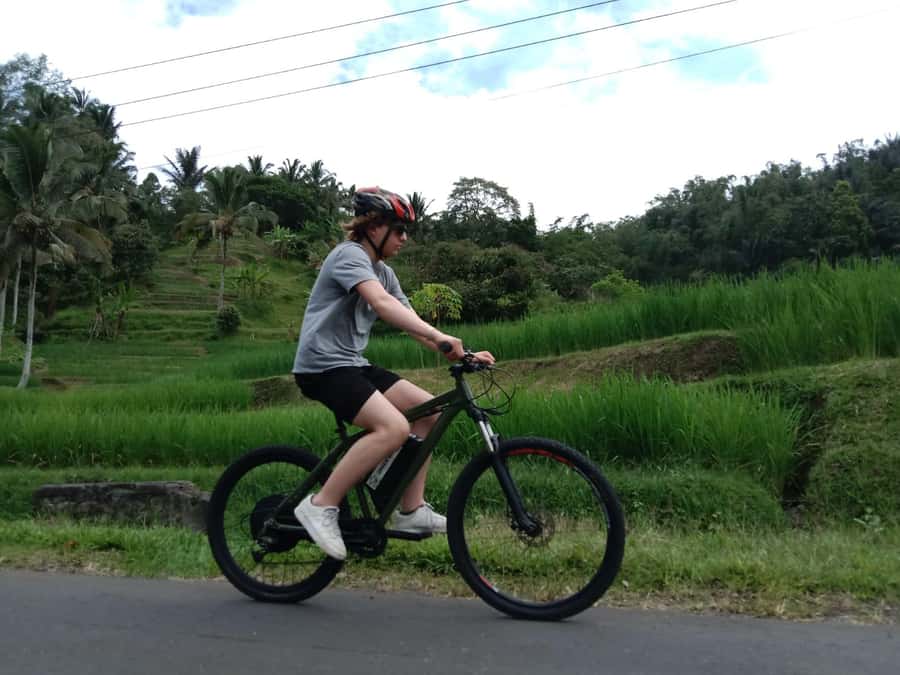 Bali: Jatiluwih Full-Day E-Bike and Trekking Tour - Lunch at a cafe among the fields