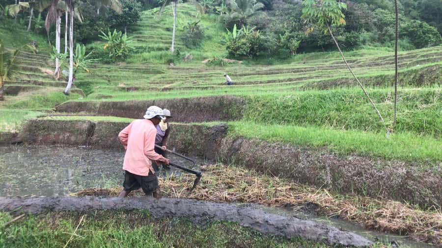 Bali: Jatiluwih Full-Day E-Bike and Trekking Tour - The trek into the river country