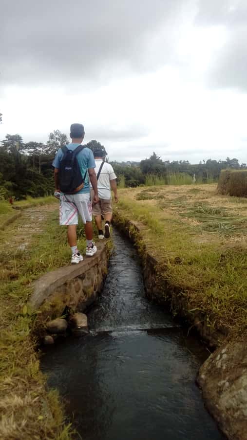 Bali: Jatiluwih Full-Day E-Bike and Trekking Tour - The $99 price and what it covers