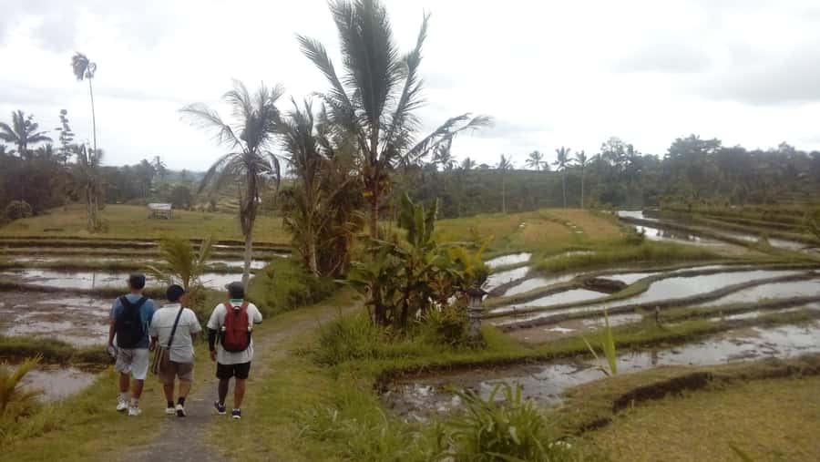 Bali: Jatiluwih Full-Day E-Bike and Trekking Tour - Pickup times and the cost of distance
