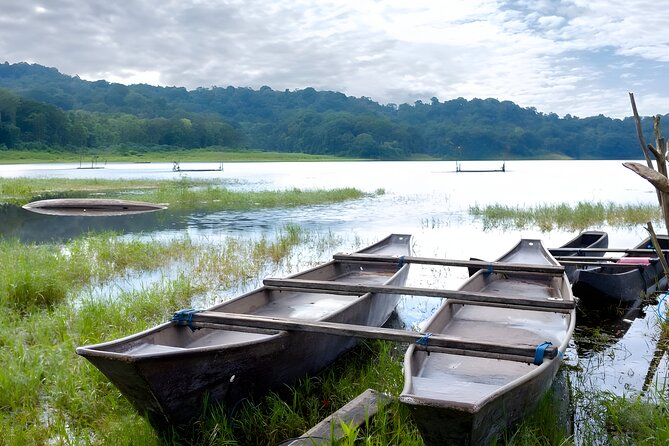 Bali Jungle Trekking in Beautiful Rainforest - What the $80 price really covers