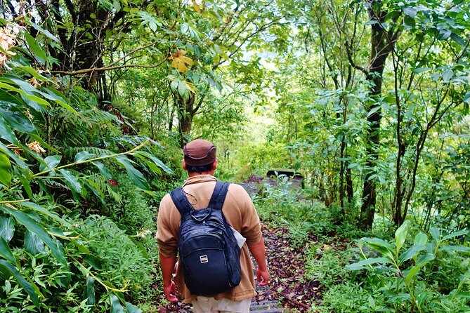 Bali Jungle Trekking in Beautiful Rainforest - Timing, packing, and small practical points