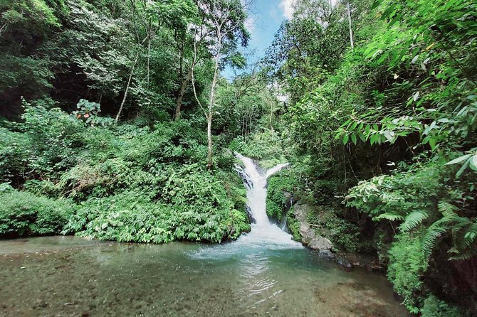 Bali Most Scenic Waterfalls Trekking - Why the Wanagiri hills make this trip special