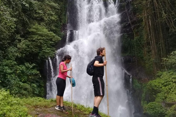 Bali Most Scenic Waterfalls Trekking - Rice terraces and the changing scenery