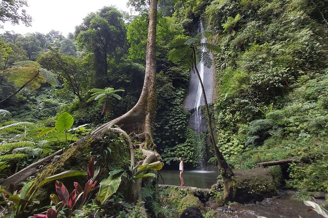 Bali Most Scenic Waterfalls Trekking - Lunch by the lakes and what the $35 covers
