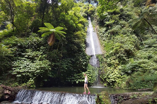 Bali Most Scenic Waterfalls Trekking - Who will enjoy this North Bali day trip?