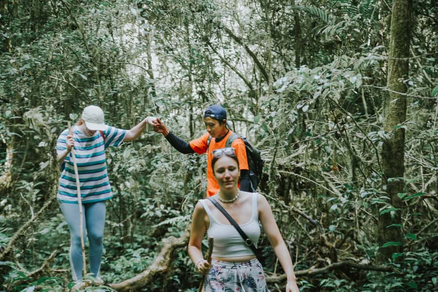 Bali: Munduk Waterfalls Trek, Twin Lakes and Temple Tour - Key points to know before you book