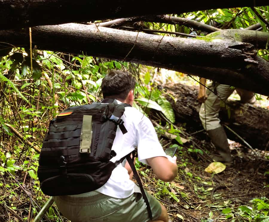 Bali’s Mystical Jungle Trek & Hidden Waterfall Adventure - Key points to know before booking