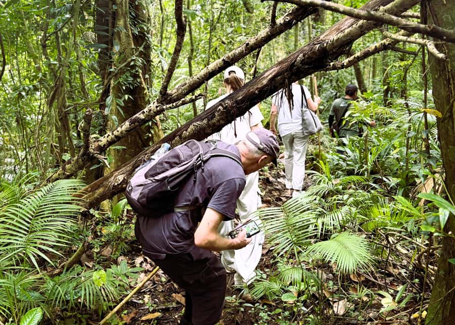 Bali’s Mystical Jungle Trek & Hidden Waterfall Adventure - Who should book this tour