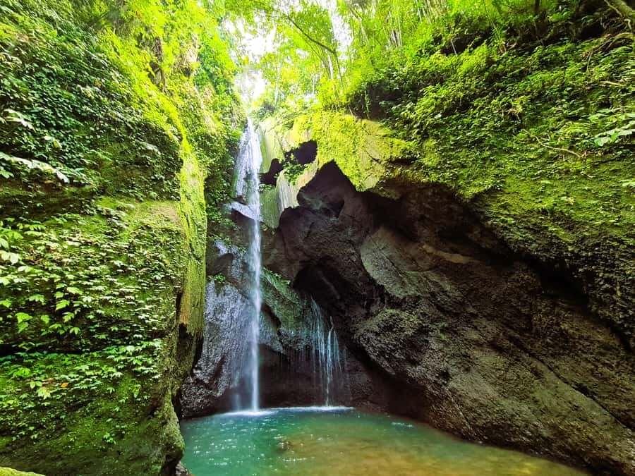 Bali’s Mystical Jungle Trek & Hidden Waterfall Adventure - Why this jungle day feels different