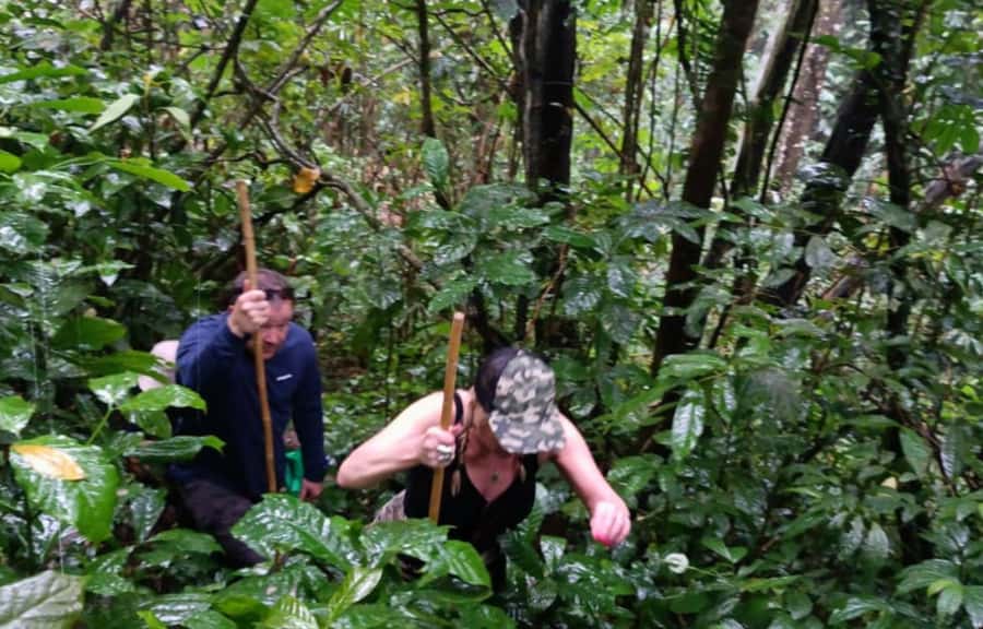 Bali’s Mystical Jungle Trek & Hidden Waterfall Adventure - Lunch at Warung Balikaru