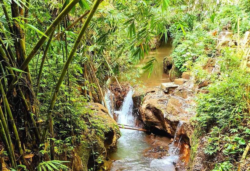 Bali’s Mystical Jungle Trek & Hidden Waterfall Adventure - The second walk and final waterfall