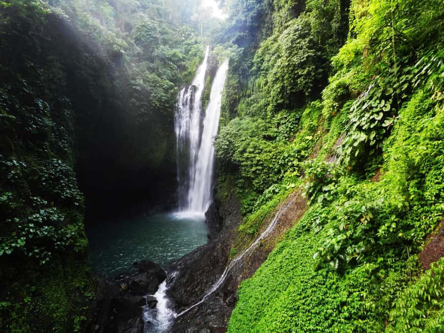 Bali: Sambangan Waterfalls Trekking, Sliding, & Jumping Trip - Key things to know before you book