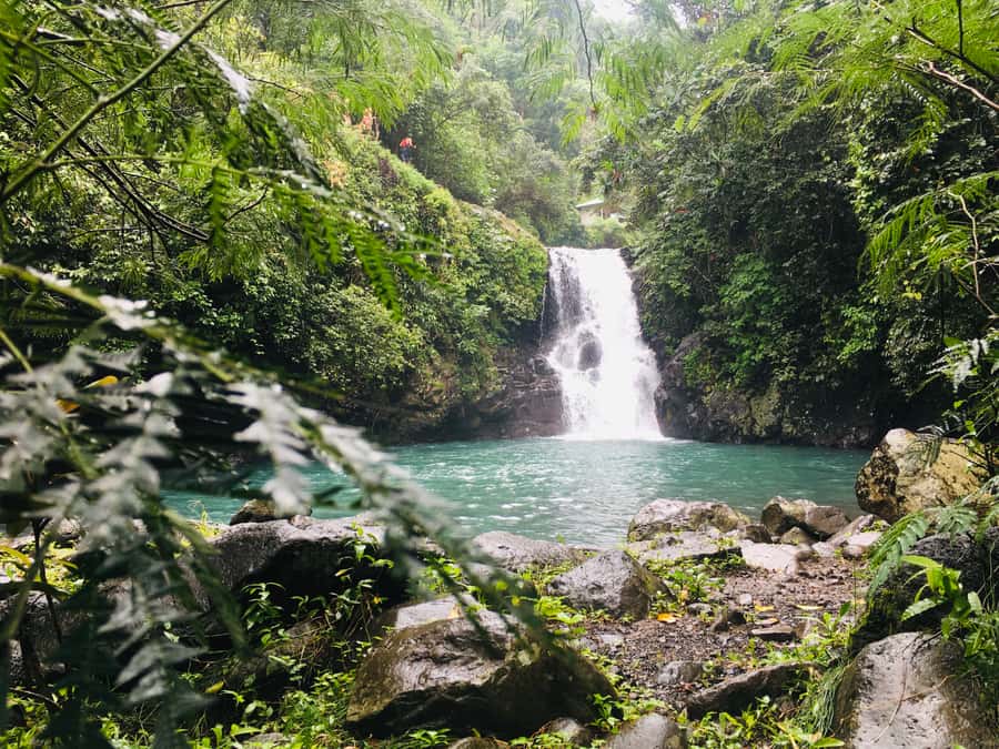 Bali: Sambangan Waterfalls Trekking, Sliding, & Jumping Trip - Aling-Aling Waterfall and the choice to jump