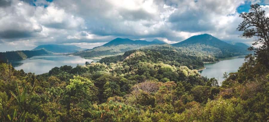 Bali: Sekumpul and Banyumala Waterfall Guided Trek - Two waterfalls, one full day in northern Bali