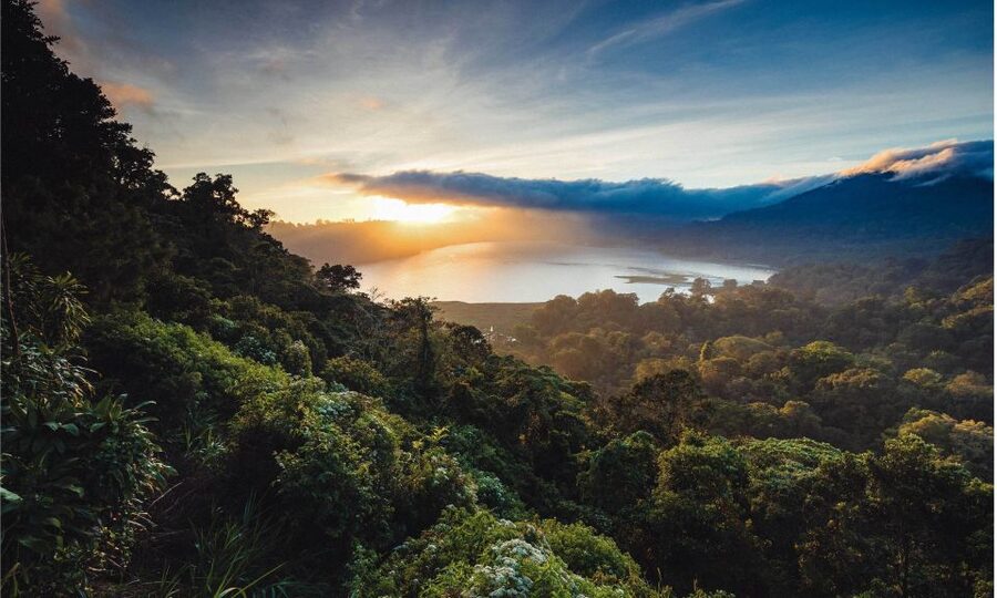 Bali: Twin Lakes, Handara Gates, and Forest Trekking Tour - Walking through the protected forest