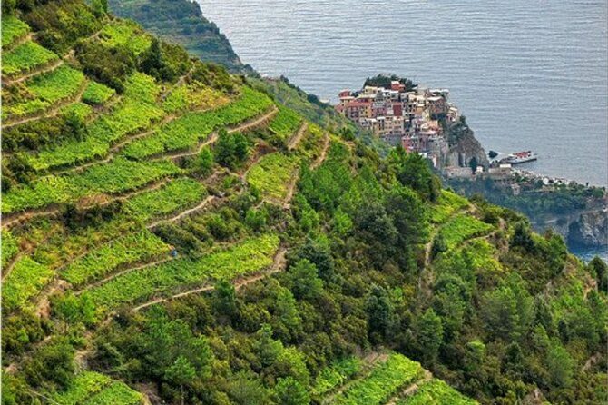 BarCa Winery Cinqueterre Trekking & Wine Tasting & Pesto Class - Why This Setting Feels Different From Cinque Terre’s Villages