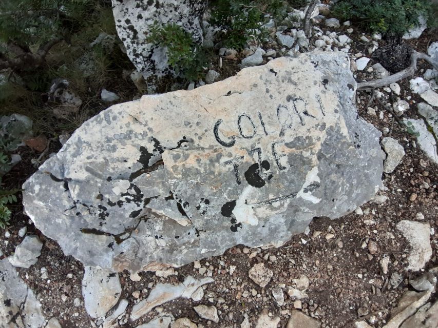 Baunei: Cala Goloritzè Trekking Tour with A Guide - What to pack for eight hours outdoors