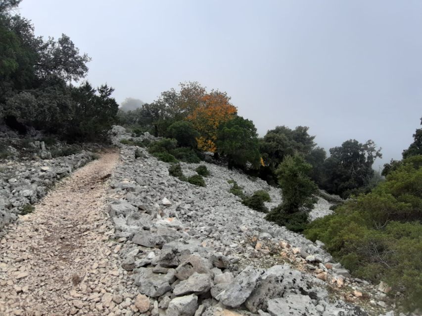 Baunei: Cala Goloritzè Trekking Tour with A Guide - What you get for the cost