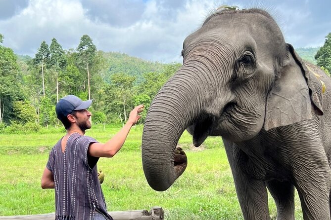 Best Seller | 2-Day Jungle Trek: Elephants, Raft & Karen Life - From Chiang Mai to a slower Mae Wang morning