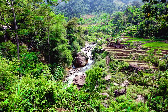 Bogor Botanical Garden & Rainforest Trekking to Hidden Waterfall - Reaching 40-meter Cikaracak Waterfall