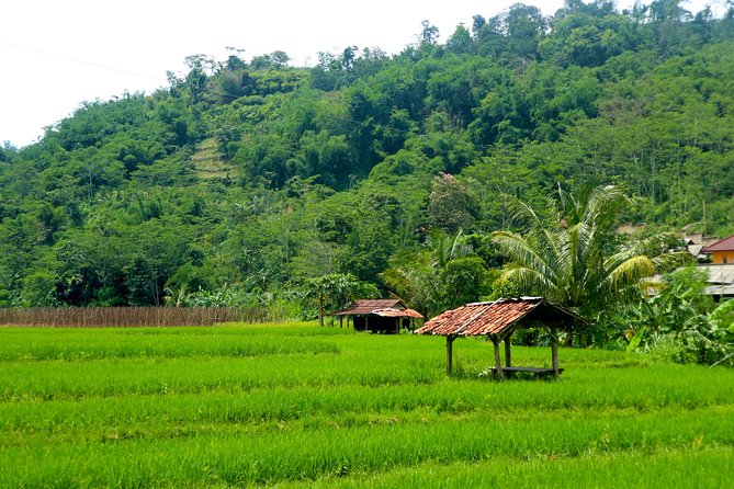 Bogor Botanical Garden & Rainforest Trekking to Hidden Waterfall - What the $95 price covers