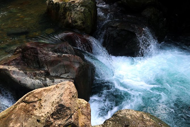 Bogor Botanical Garden & Rainforest Trekking to Hidden Waterfall - Guides who add meaning to the day
