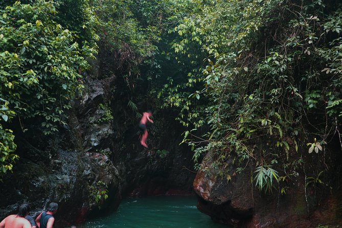 Bogor Botanical Garden & Rainforest Trekking to Hidden Waterfall - The practical drawbacks to consider