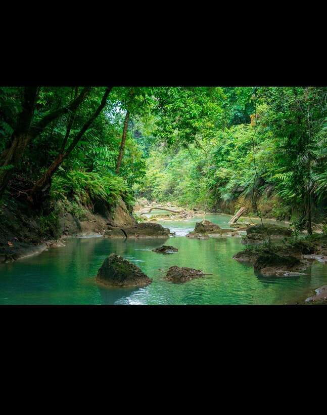 Bohol: Hidden Waterfall Hopping and Jungle Trek Adventure - Cliff jumps from 4 to 9 meters