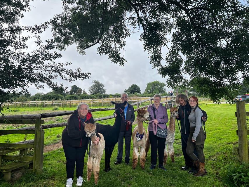 Brackenfield: Alpaca Trek - How much value do you get for $33?