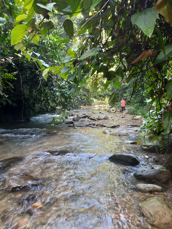 Bukit Lawang: Jungle Trekking and Rafting Day Trip - The Bahorok River inner-tube raft