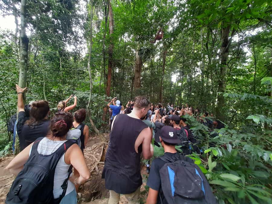 Bukit Lawang: Jungle Trekking and Rafting Day Trip - What to pack for the wettest day