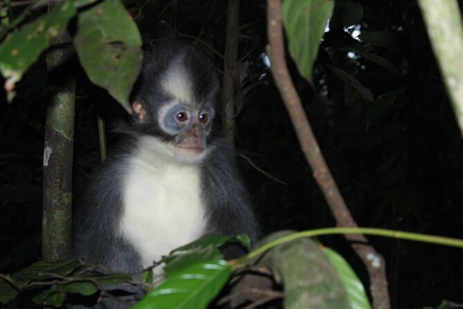 Bukit lawang tour 3days-2 night jungle trekking including rafting - Day Two: the hardest and most rewarding stretch