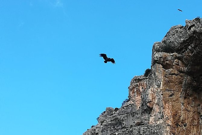 Caminito del Rey Trekking Walkway - Is this suitable for families and older walkers?