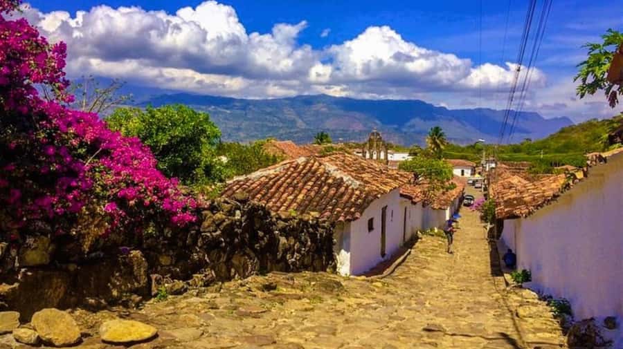Camino Real: Barichara-Guane Trekking Tour + Paleontological Museum - The $35 price and what it covers