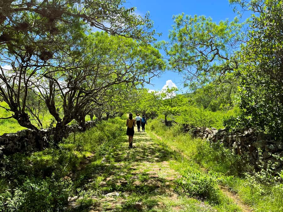 Camino Real: Barichara-Guane Trekking Tour + Paleontological Museum - Should you book the Barichara to Guane trek?
