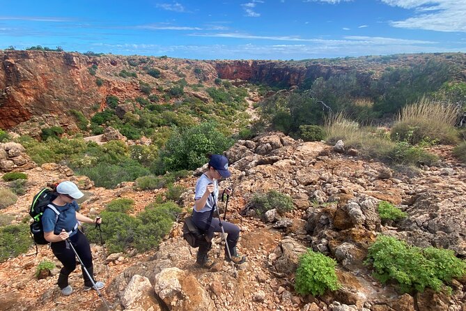 Cape Range National Park Full-Day Trekking Adventure - From coastal plains to ancient Holocene dunes