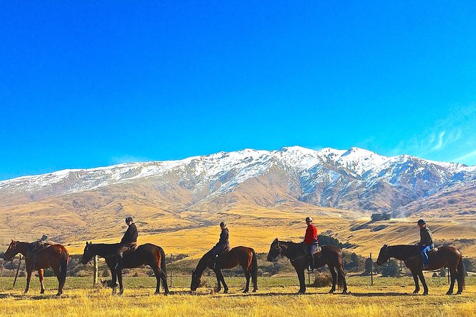Cardrona High Country Pub Trail Horse Trek (Intermediate level+) - Riding into Cardrona’s gold rush country