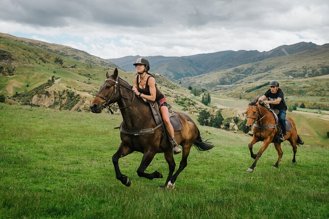Cardrona High Country Pub Trail Horse Trek (Intermediate level+) - Why the horses and guides matter